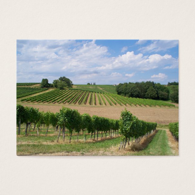 Cartes De Visite Vineyard - Vignoble (Bordeaux - France) 04 (Devant)