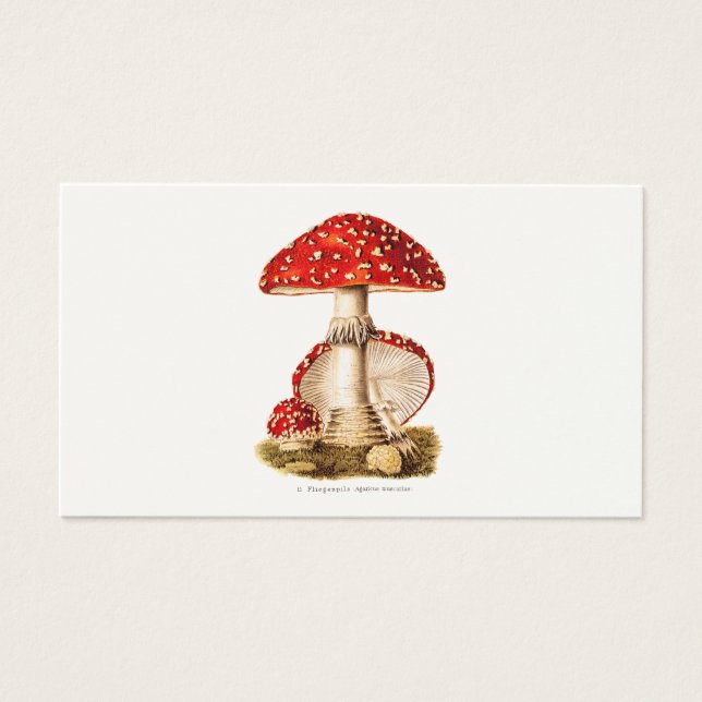 Cartes De Visite Vintage 1800s Champignons rouges Modèle (Devant)