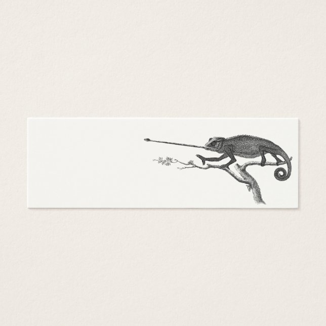 Cartes De Visite Vintage Lizard Chameleon Modèle d'illustration (Devant)
