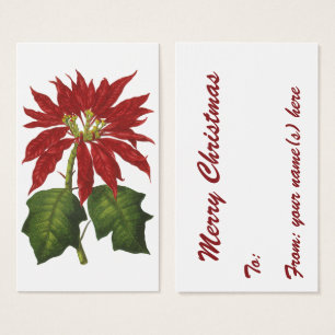 Cartes De Visite Vintage Noël, Rouge Poinsettia Plante d'hiver