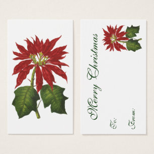Cartes De Visite Vintage Noël, Rouge Poinsettia Plante d'hiver