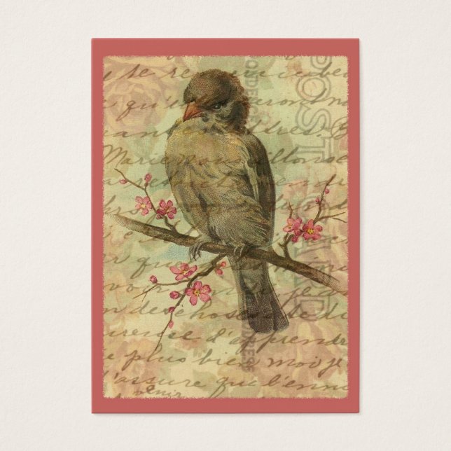 Cartes De Visite Vintage Sparrow (Devant)
