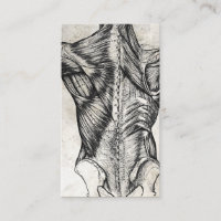 Cartes de visite vintages Anatomie