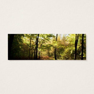 Cartes De Visite Vitrage de forêt