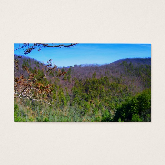 Cartes De Visite Vue montagne (Devant)