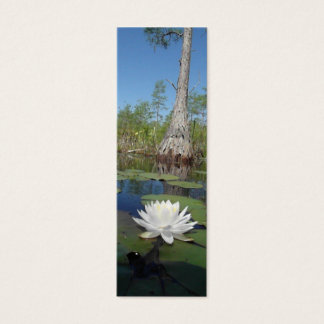 Cartes De Visite Water Lily 2 Signet