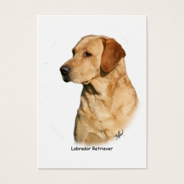 Cartes De Visite Yellow Labrador Retriever (Devant)