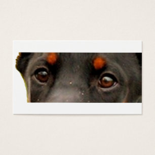 Cartes De Visite yeux dobie