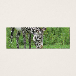 Cartes De Visite Zebra Signet
