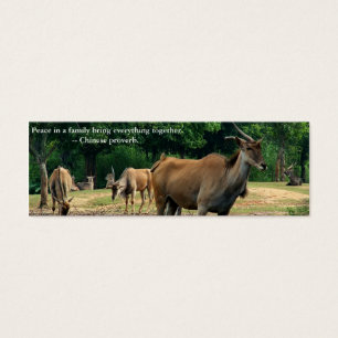 Cartes De Visite Zoo. Proverbe chinois sur la paix dans la famille