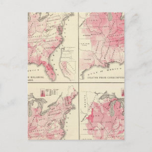 Cartes de vitalité des États-Unis