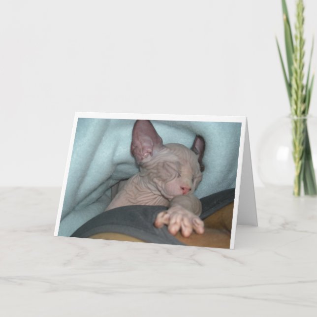 Cartes de voeux (Devant)