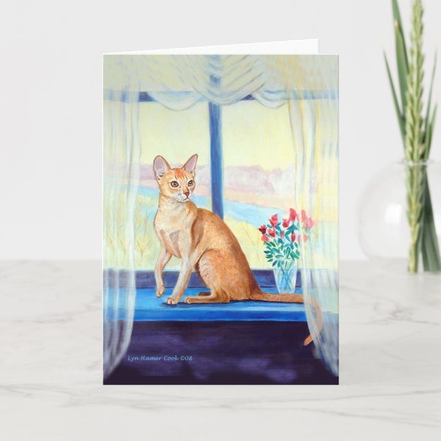 Cartes de voeux Abyssinian Cat (Devant)
