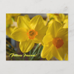 Cartes de vœux avec des jonquilles jaunes ¡Felices