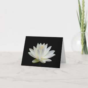 Cartes de vœux blanches grises avec nénuphar vierg