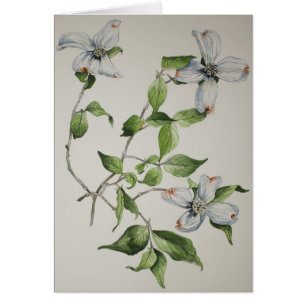 Cartes de voeux botaniques