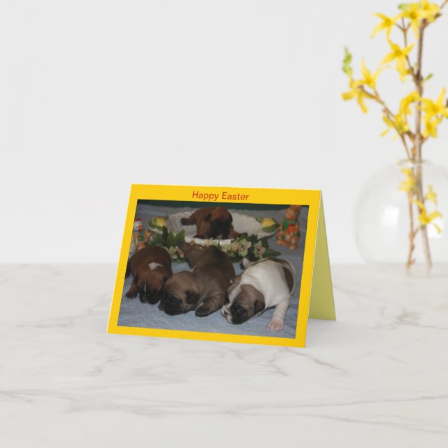 Cartes de vœux Bouledogues Français Pâques (Fleur jaune)