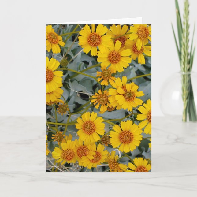 Cartes de voeux Brittlebush Flowers_personnalisabl (Devant)