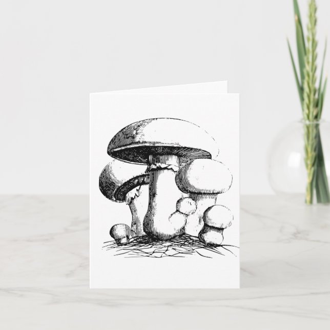 Cartes de vœux champignons de prairie (Devant)