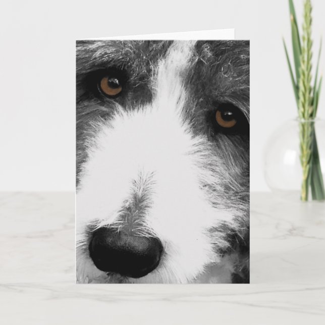 Cartes de voeux Collie Eyes (Devant)