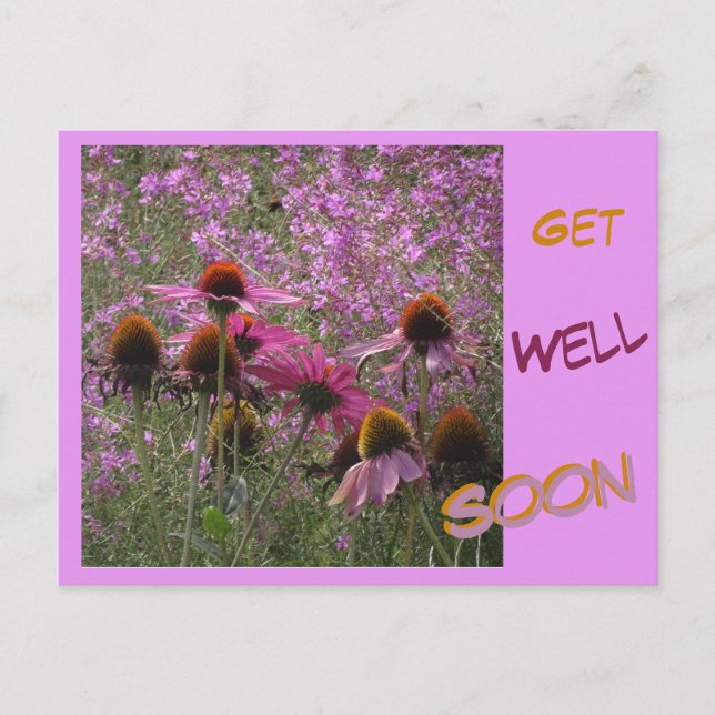 Cartes de vœux Coneflowers Texte personnalisé pour (Devant)