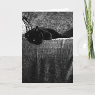 Cartes de voeux confortables de chat noir
