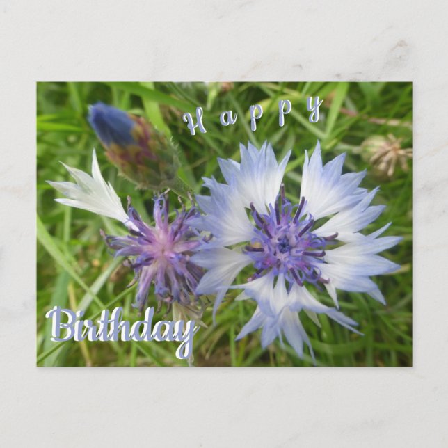Cartes de vœux d'anniversaire Fleurs sauvages : Bl (Devant)