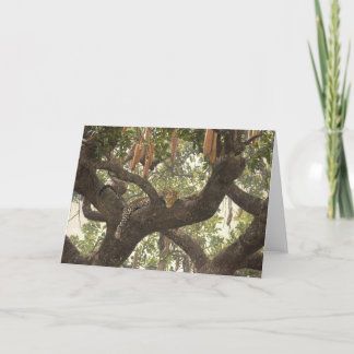 Cartes de voeux d'art de faune de Combes de type