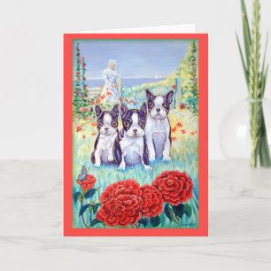 Cartes de voeux de Boston Terrier