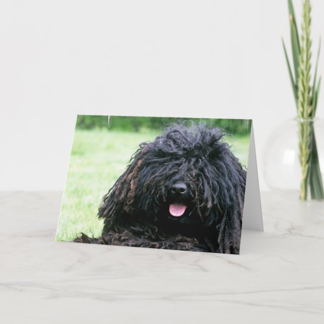 Cartes de voeux de chien de Puli (Devant)