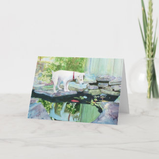Cartes de voeux de Jack Russell Terrier #1