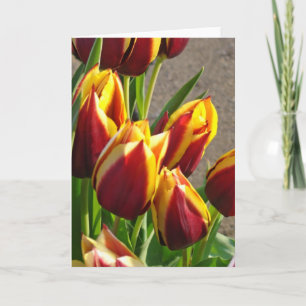 Cartes de vœux de jardin de fleurs de tulipes Tuli