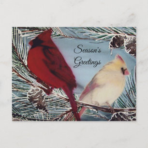 Cartes de vœux de la saison des oiseaux cardinaux