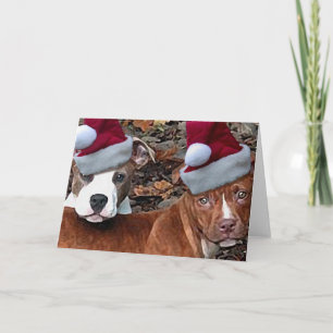Cartes de voeux de Noël Pitbull Puppies