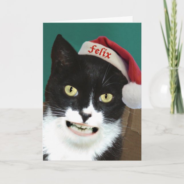 Cartes de voeux de Noël pour les chats amusants (Devant)