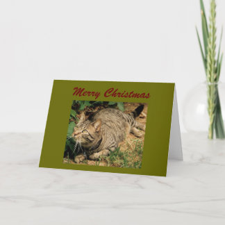 Cartes de voeux de Noël Tabby Cat
