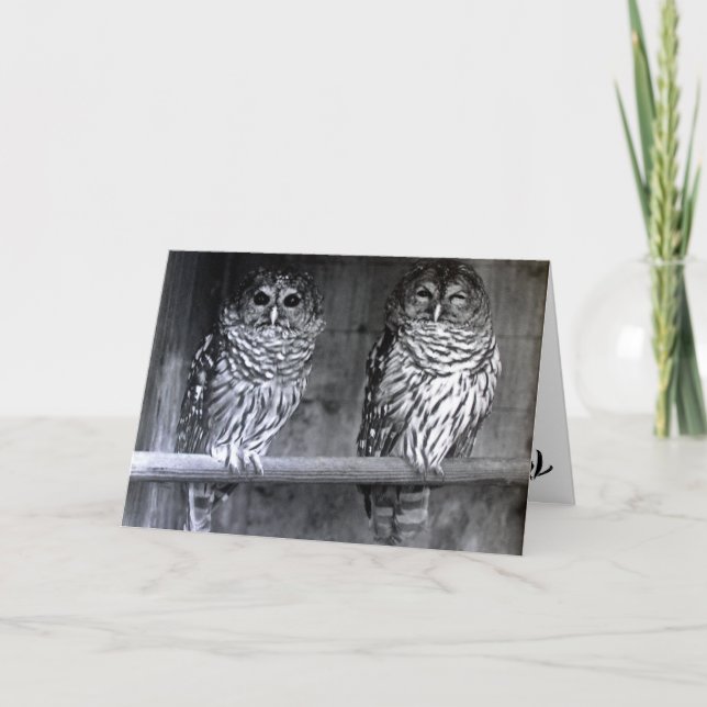 Cartes de voeux de photographie de hibou (Devant)