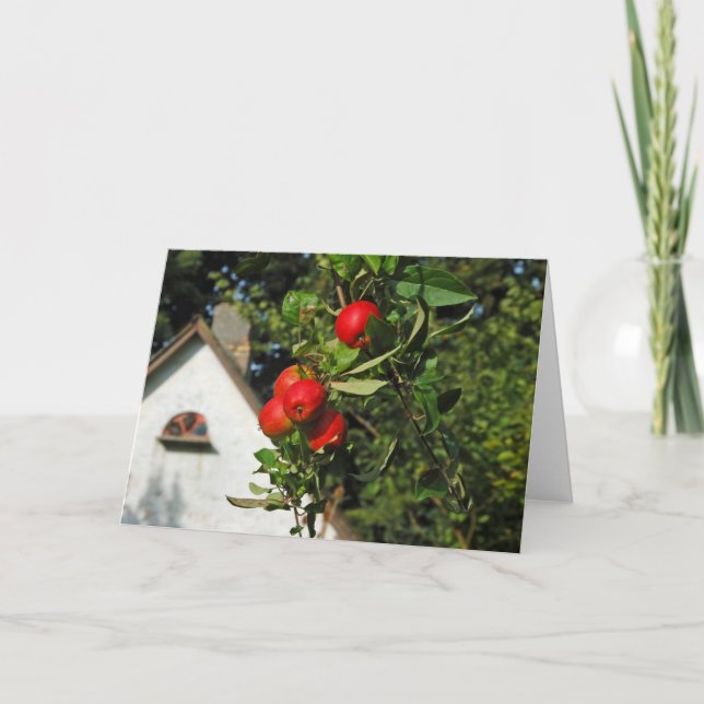 Cartes de voeux de pommes de pigeon (Devant)