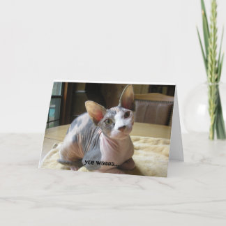 Cartes de voeux de relation