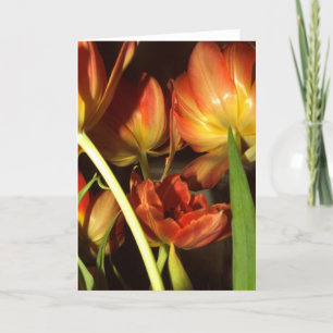 Cartes de voeux de tulipes