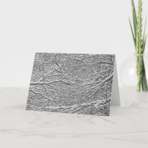 Cartes de voeux des branches de neige