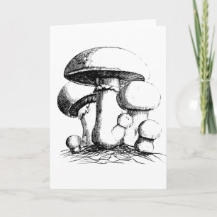 Cartes de voeux des champignons de prairie