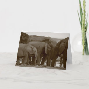 Cartes de voeux éléphantes pour une cause