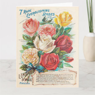 Cartes de vœux éphémères de roses vintage colorées