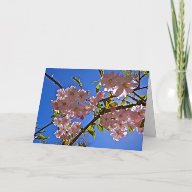 Cartes de voeux et de notes en fleurs de cerisiers (Devant)