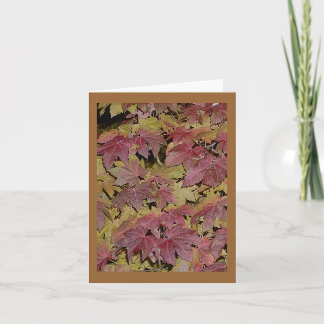 Cartes de voeux Feuilles de nuit (Devant)
