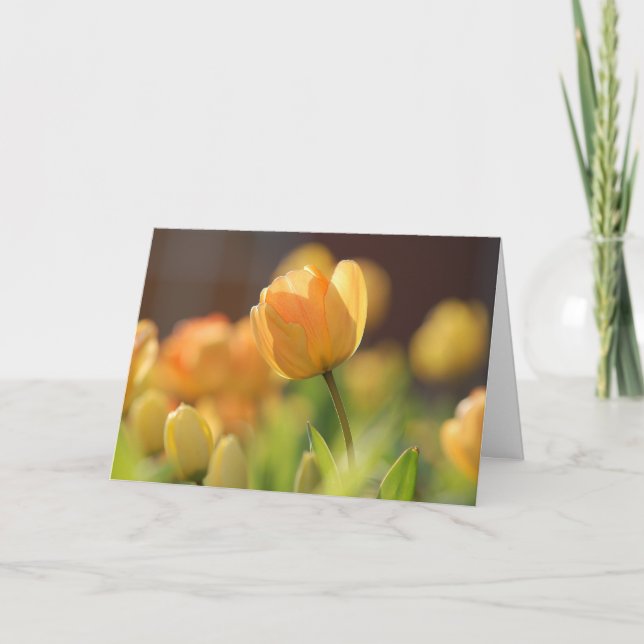 Cartes de vœux - Floral jaune de printemps (Devant)