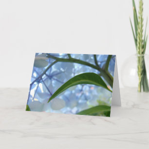 Cartes de vœux florales bleues Fleurs d'hortensia