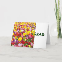 Cartes de vœux GRAD Félicitations Tulipe Fleurs