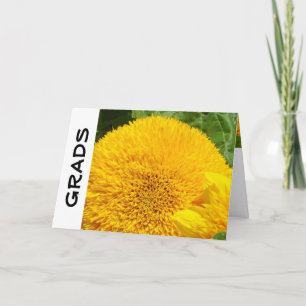 Cartes de vœux GRADS Tournesols Personnalisés